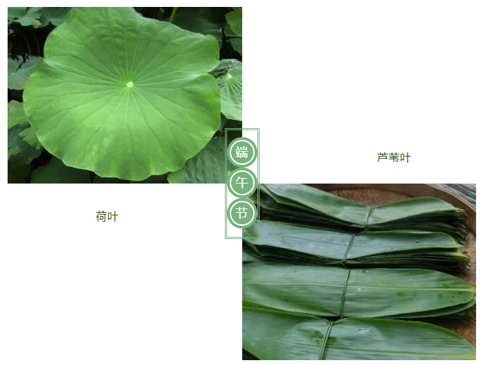 WePoker德州医纺