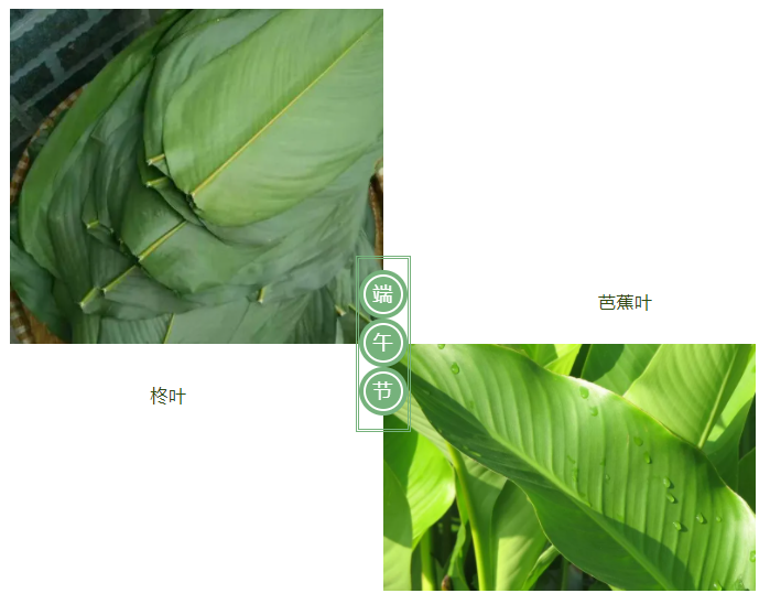 WePoker德州医纺