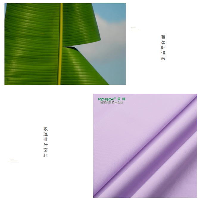 WePoker德州医纺