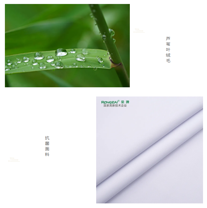 WePoker德州医纺